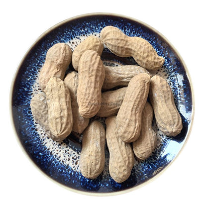 Ceramic Peanut Tea Pet (Set of 2)