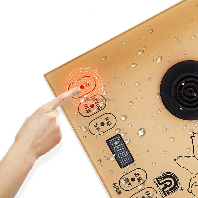 Stainless Steel Teapot With Golden Induction Cooker