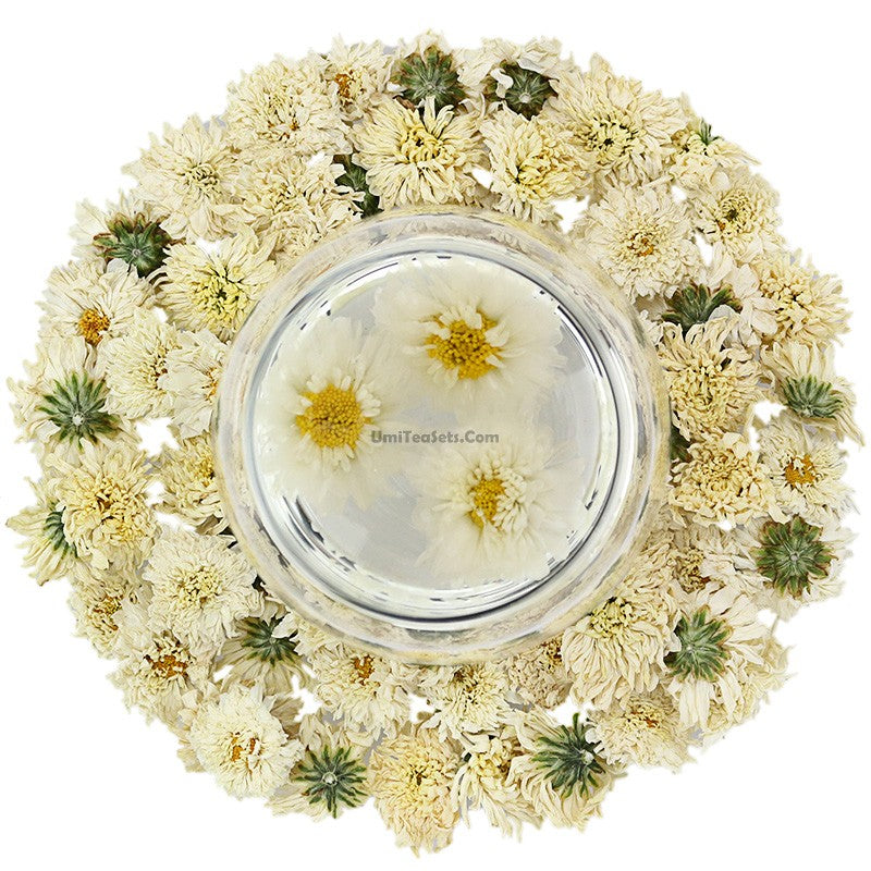 Chrysanthemum Tea - COLORFULTEA