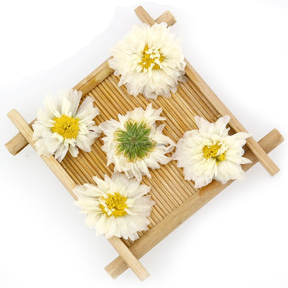 Chrysanthemum Tea - COLORFULTEA