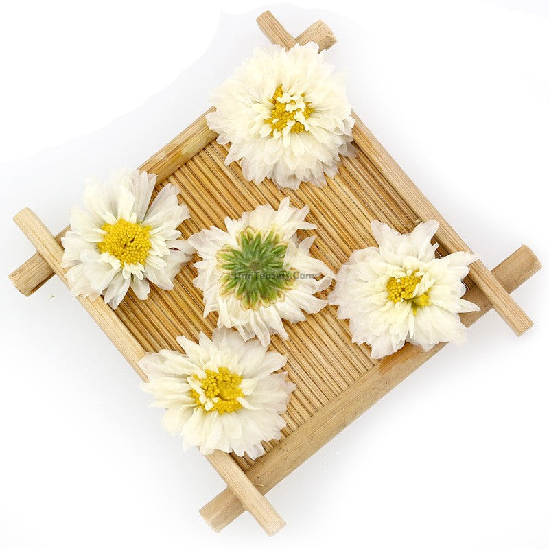 Huangshan Tribute Chrysanthemum Tea - COLORFULTEA