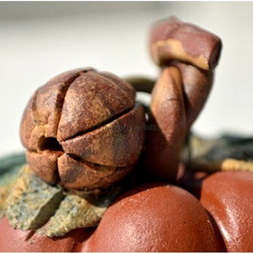 Hand-crafted Pumpkin Purple Clay Tea Pet