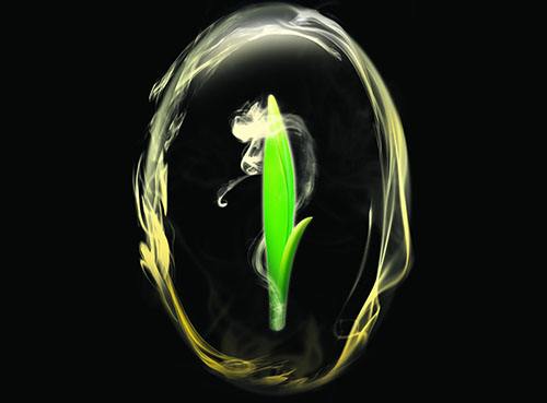 A Discussion of Aging Tea; from Science to Spirit