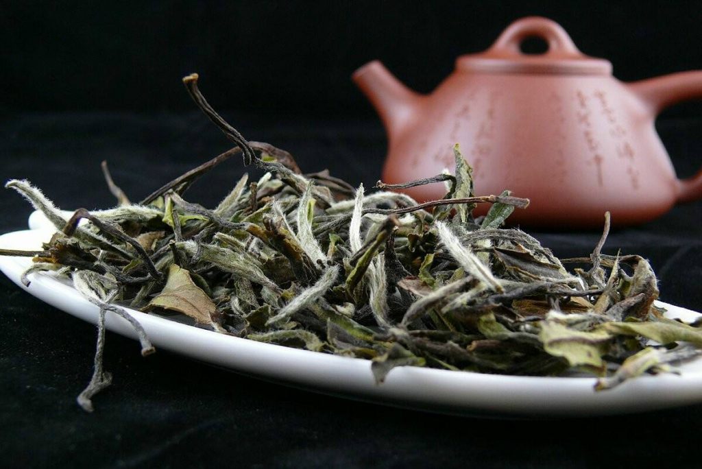 Lingering Taste of Famous Teas - White Tea