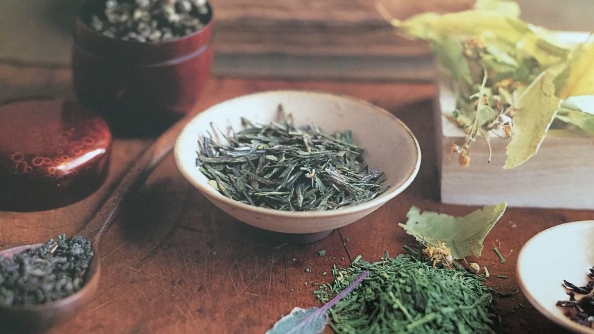 The History and Cultivation of Tea