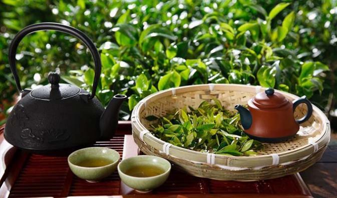 Caina Tea Tea In China – Umi Tea Sets