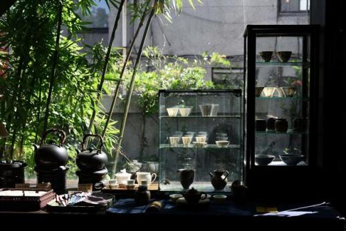 Wistaria Cha Dao