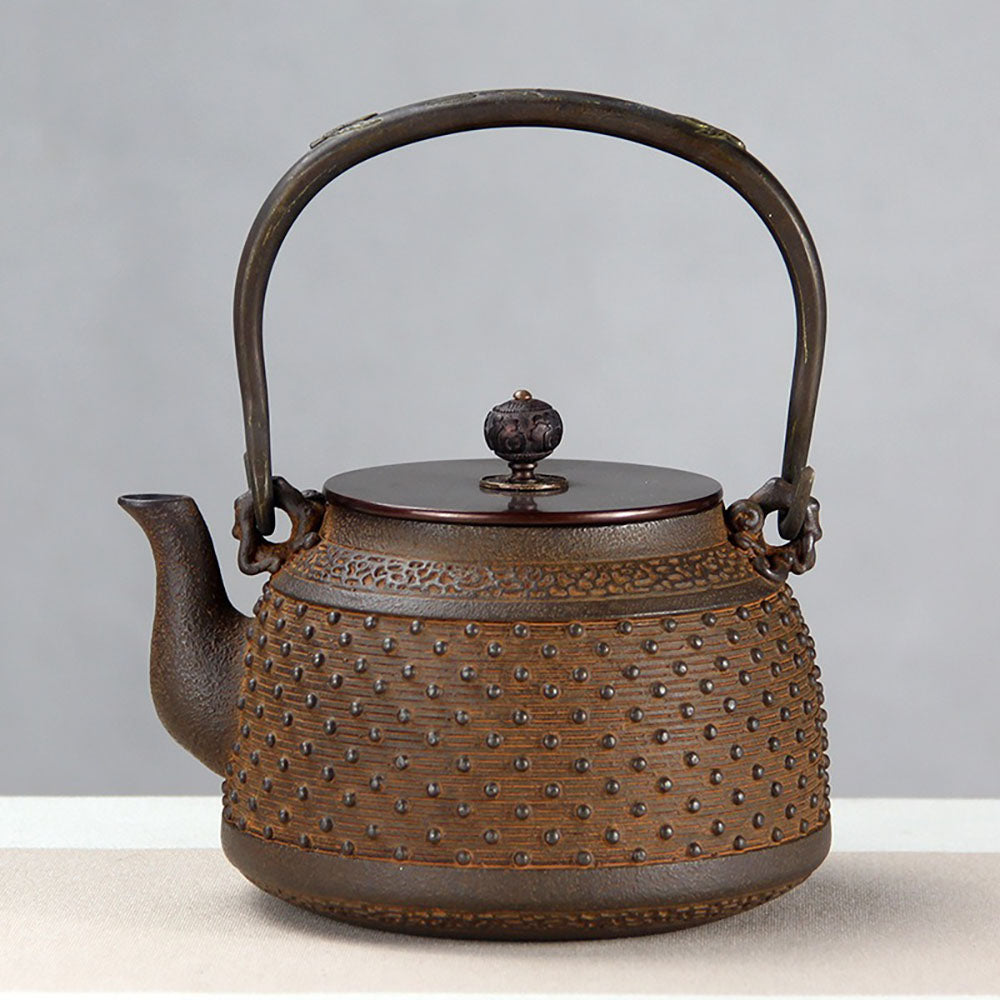Japanese Rivet Cast Iron Teapot