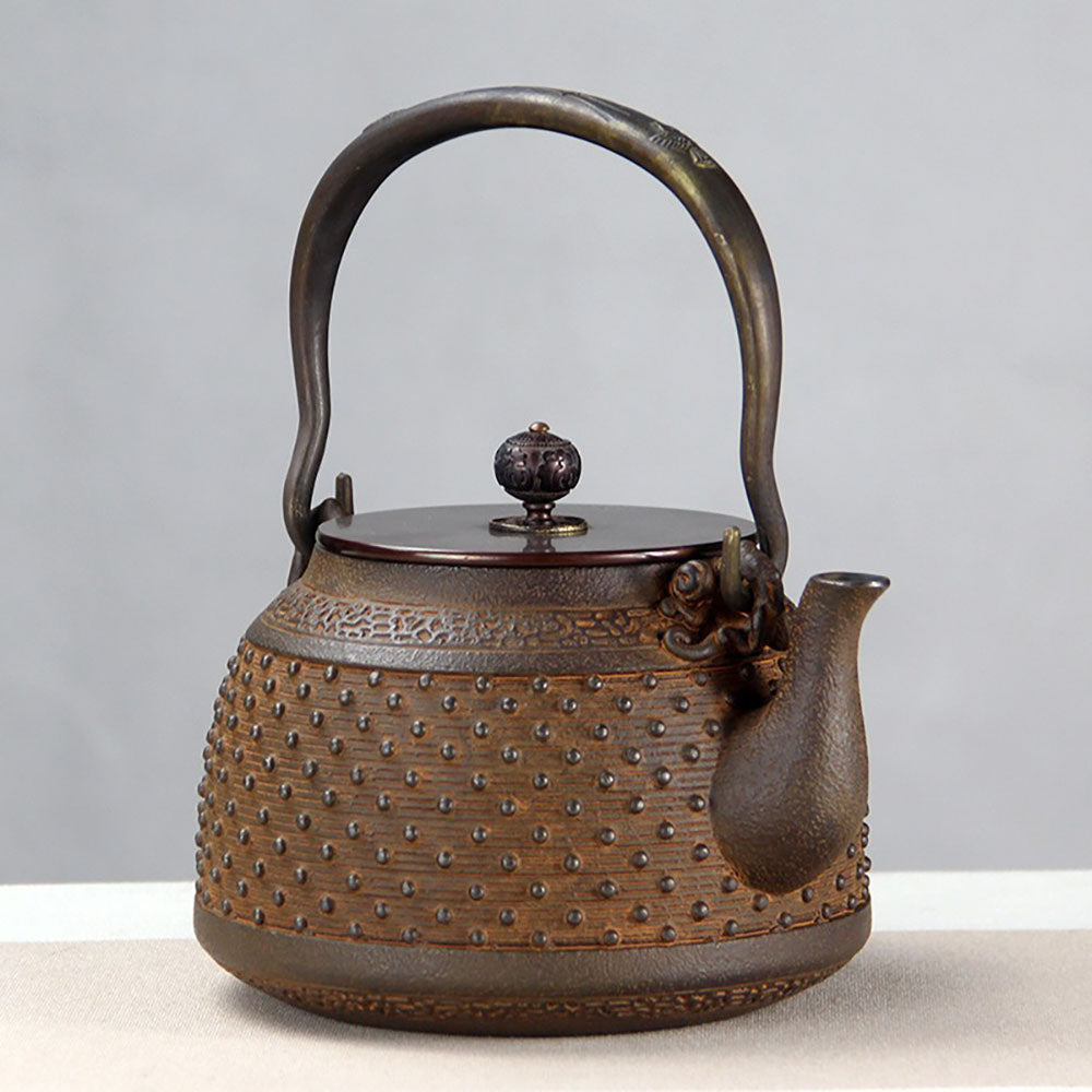 Japanese Rivet Cast Iron Teapot