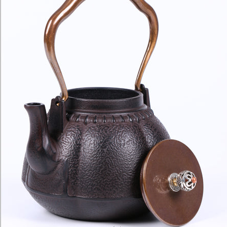 Japanese Pumpkin Cast Iron Teapot
