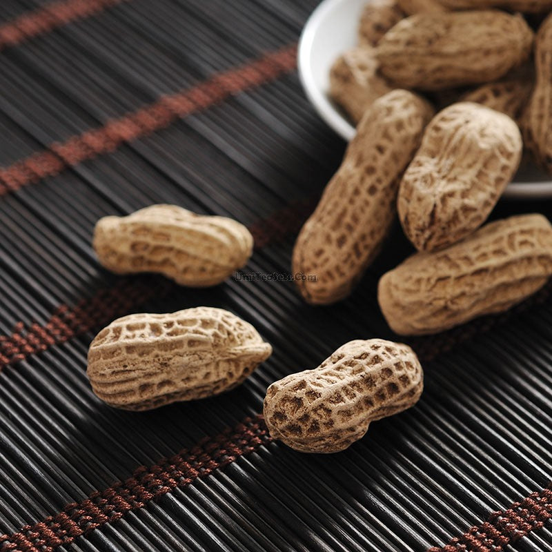 Ceramic Peanut Tea Pet (Set of 2)