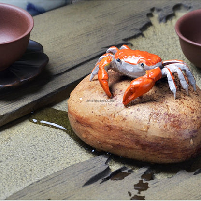 Color Changeable Crab Tea Pet