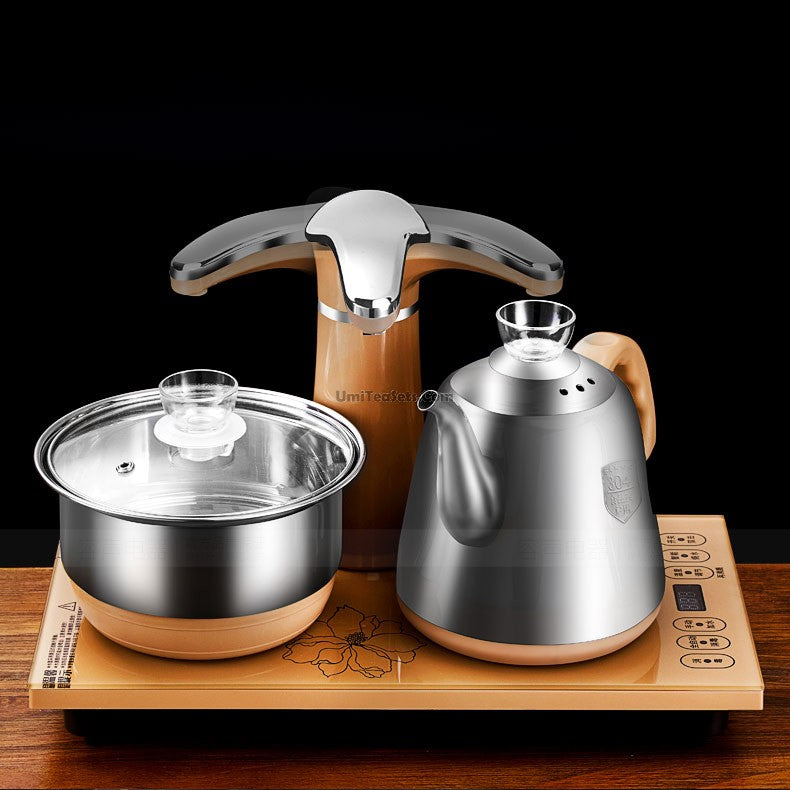Stainless Steel Teapot With Golden Induction Cooker