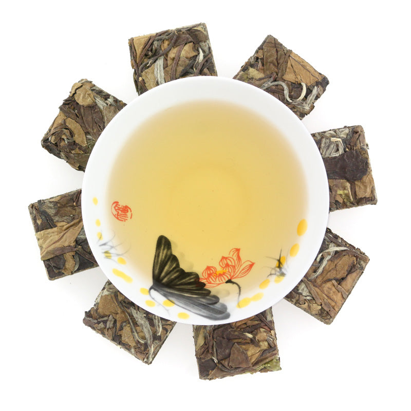 Shou Mei White Tea - COLORFULTEA